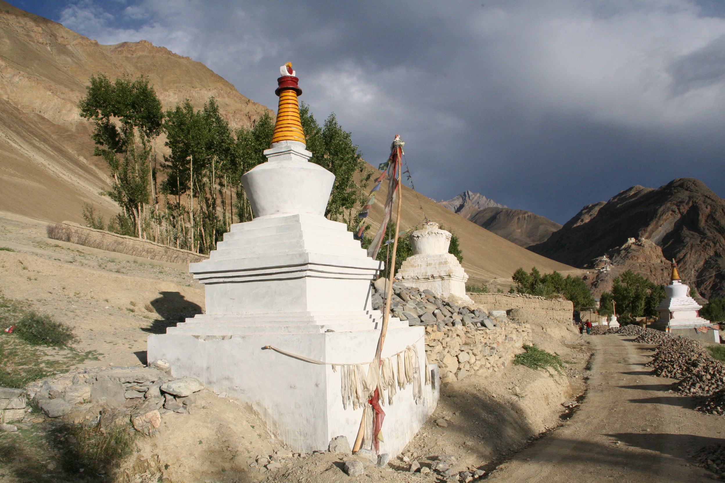 T Pishu Zangla 079