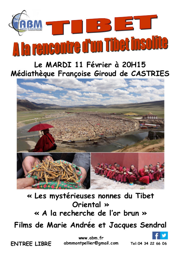 Tibet2vrai 