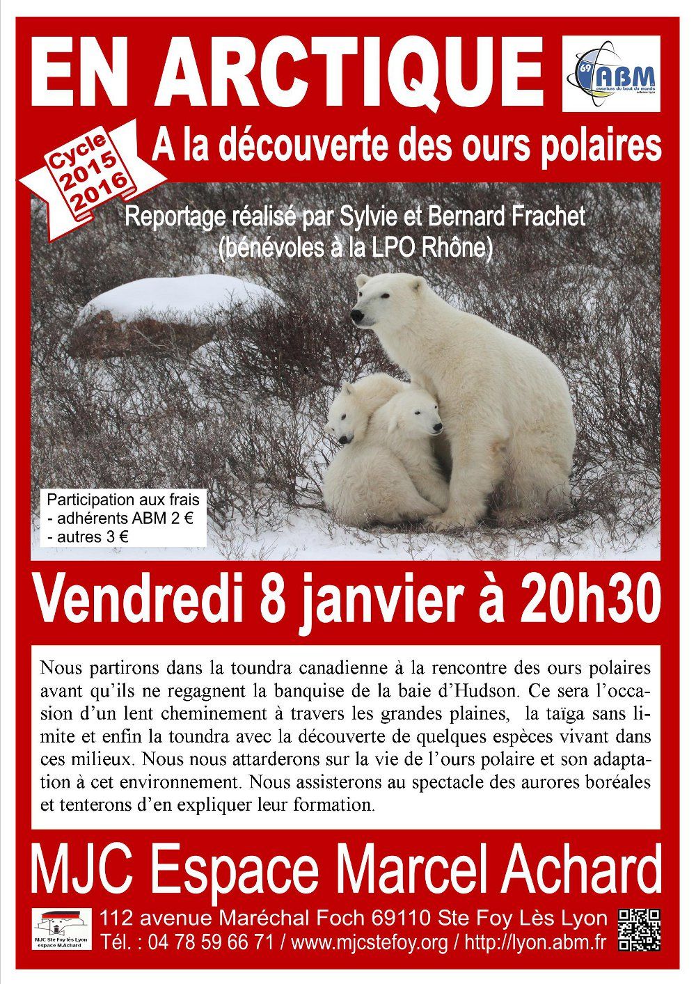 8 JANVIER EN ARCTIQUE A LA DECOUVERTE DES OURS POLAIRES