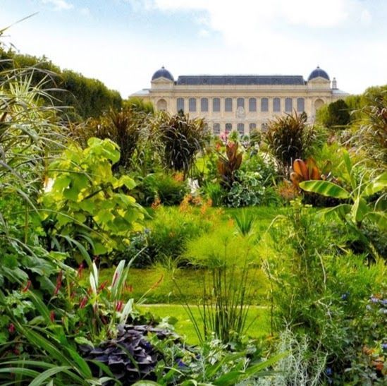 jardin des plantes jerome munier 0
