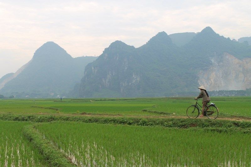 Vietnam 2