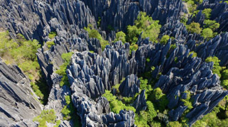 namoroka pl 14 web 520x290