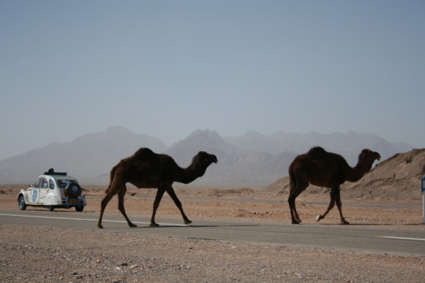 36fdb1a35cd2f54f95cf2119fb5bc7ed L