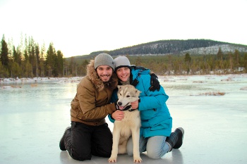 Borealisweb
