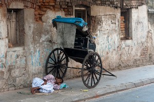 Calcutta  web