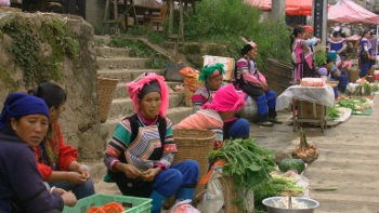 Chine Reverstat