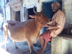 Inde
