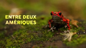 Entre deux Amériques,