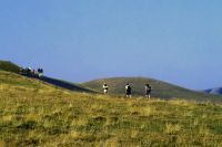 Sur les chemins de St Jacques de Compostelle