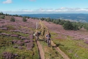 Sur le chemin de Stevenson -