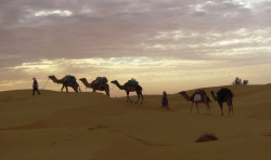 Sahara Tunisien et villages Berbères