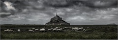 Rassemblement national Mont St Michel