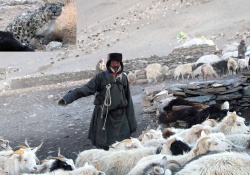 Ladakh