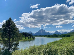 Visioconférence Mon été au Wyoming 