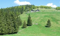 Balade dans les Vosges