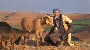 Yunnan (Chine)