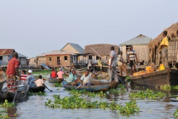 Togo, Bénin et Cameroun