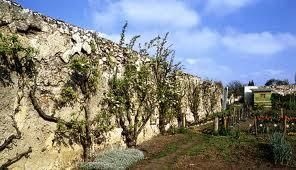 Visite des Murs à peches de Montreuil