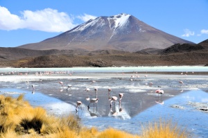 Du désert d'Atacama aux MoaÏ de l'île de Pâques