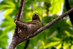 Costa Rica