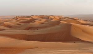 Webinar Oman