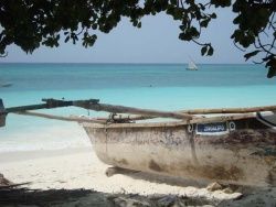 D'ILE EN ILE