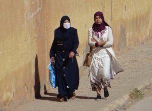 l'Algérie du nord au sud