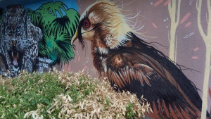 Rando découverte du street art à Vitry-sur-Seine