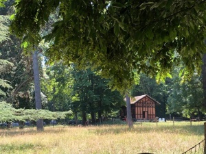 Randonnée découverte du Domaine de Saint-Cloud 