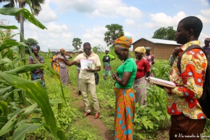 Visioconférence Enjeux d'agriculture au Bénin