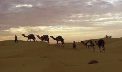 Sahara Tunisien et villages Berbères