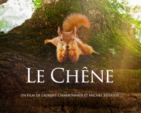 Projection Le Chêne