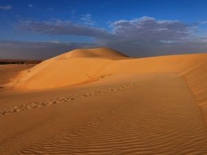 Mauritanie