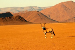 Namibie