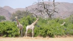 Namibie