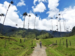 Colombie