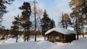 Visioconférence Ski-pulka et aurores boréales en Laponie finlandaise 