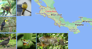 Soirée Costa Rica