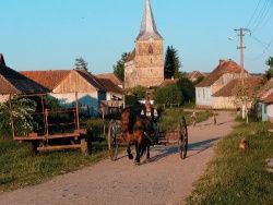 Roumanie
