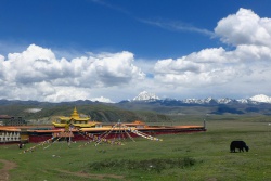 Chine (Sichuan)