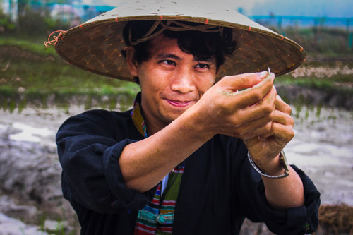 laos cambodge 13 500x333