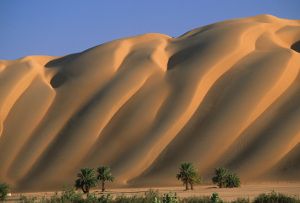 bdMichel_Thomas_Mauritanie_228web