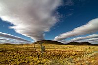 mittelette_australie_gd